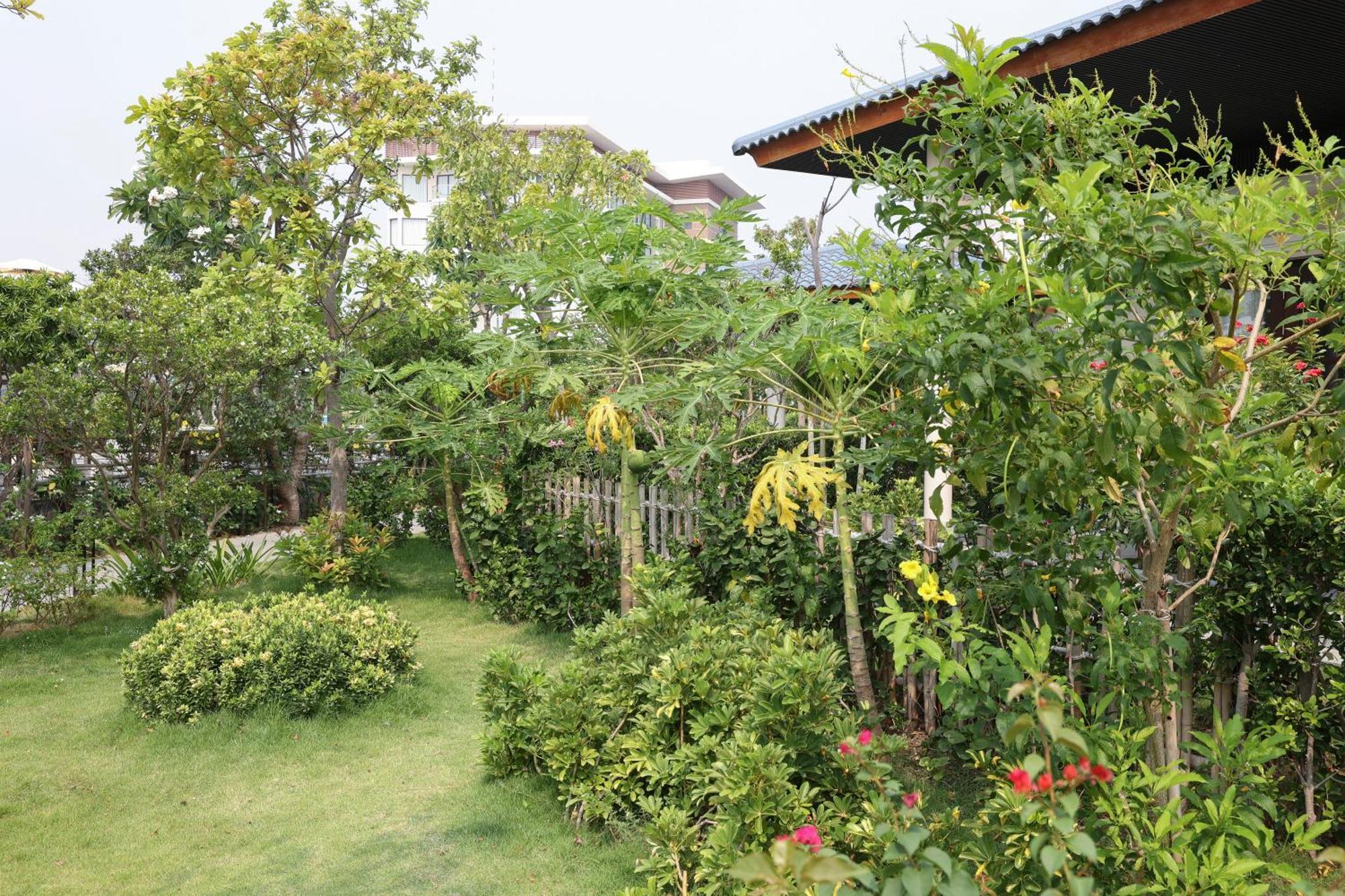Hoan My Resort - Ninh Chu Фан Ранг Екстериор снимка